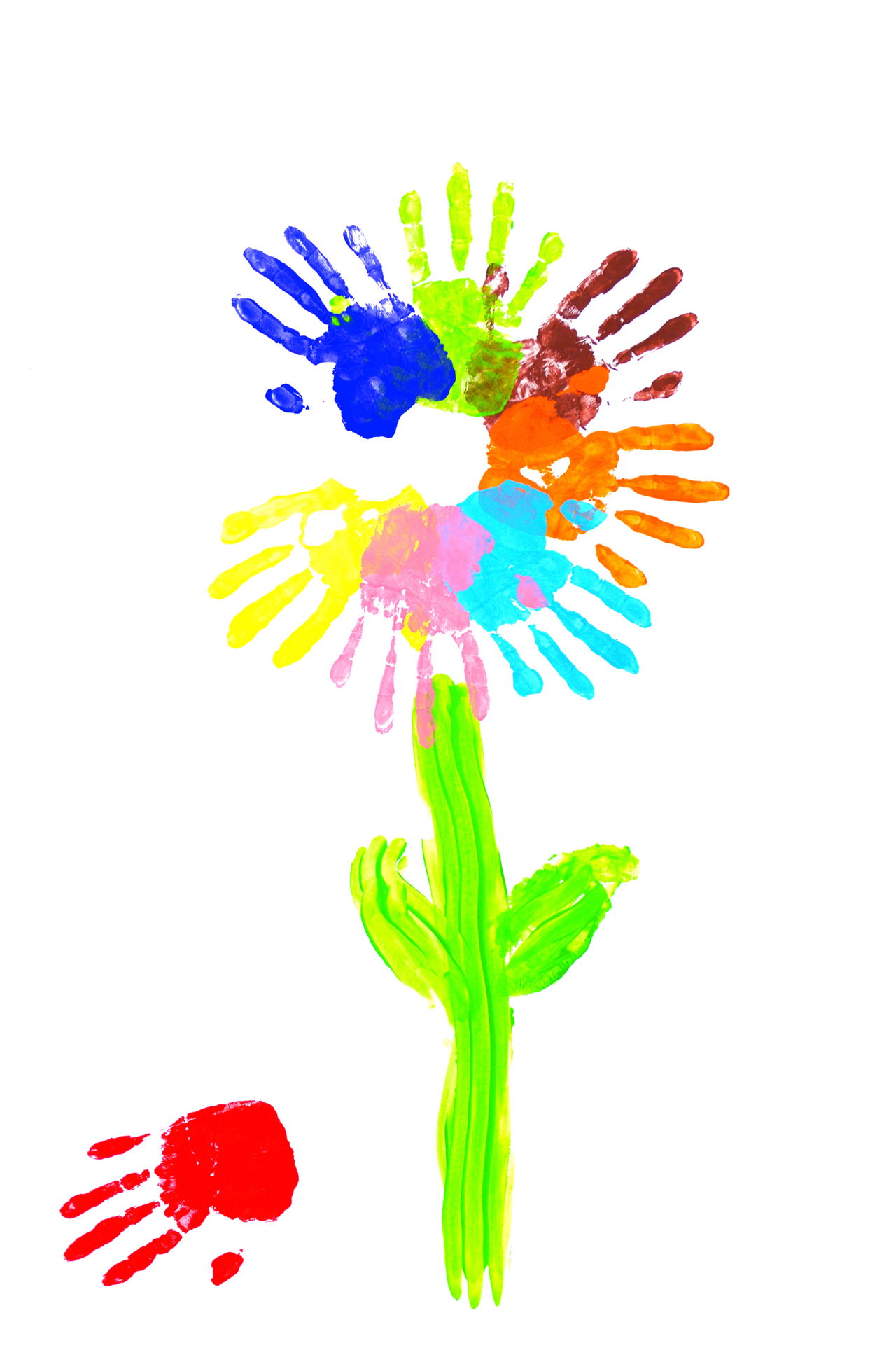 1280x1925 Learn How To Draw Flowers With These Step