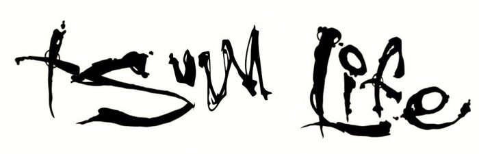 700x225 Disney Tsum Tsums An Obsession