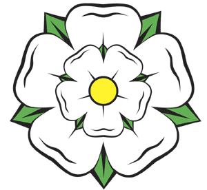 300x276 How To Draw A Rose Things To Wear Yorkshire Rose, Rose Tattoos