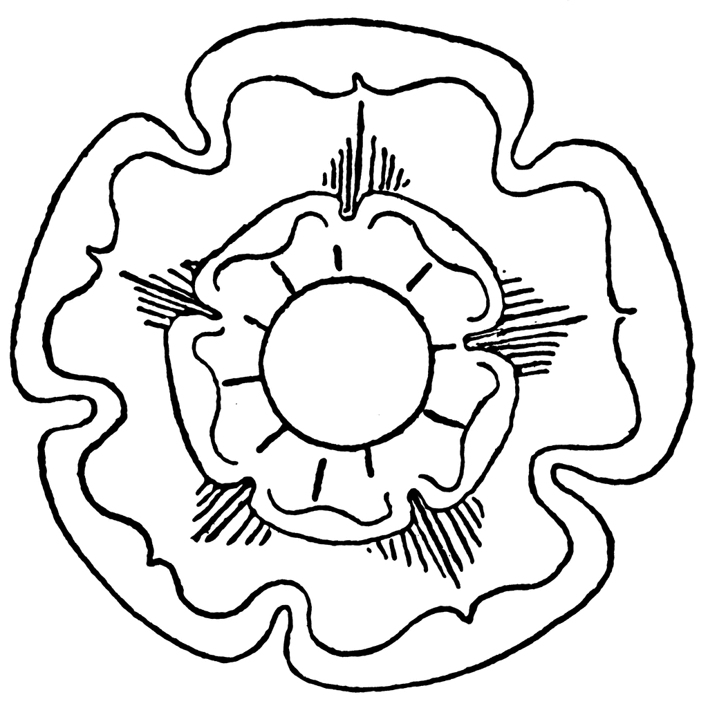 1024x1021 Tudor Rose Clipart Etc