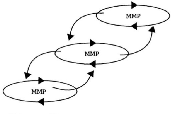584x392 Beyond The Shareholder Stakeholder Tug Of War Introducing
