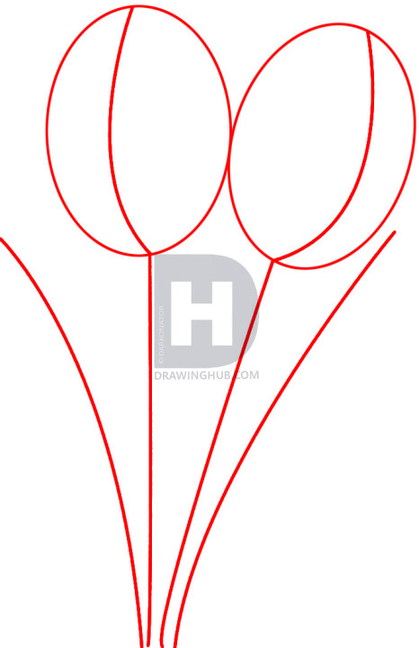466x720 How To Draw Tulips, Step
