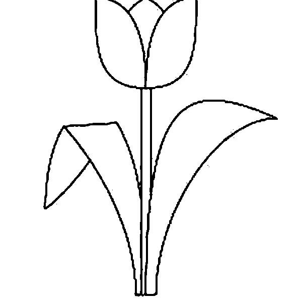 600x600 Tulip Drawings Free Tulip Nature Printable Coloring Pages Free