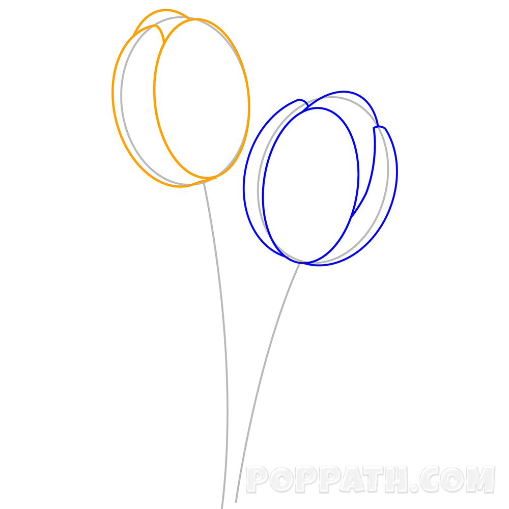 1000x1000 How To Draw A Tulips Pop Path