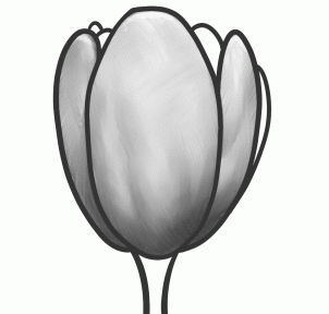 302x288 How To Draw A Tulip Flower, Tulips, Step