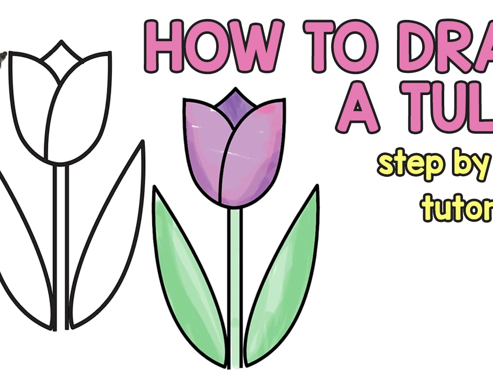 960x720 How To Draw A Tulip For Kids