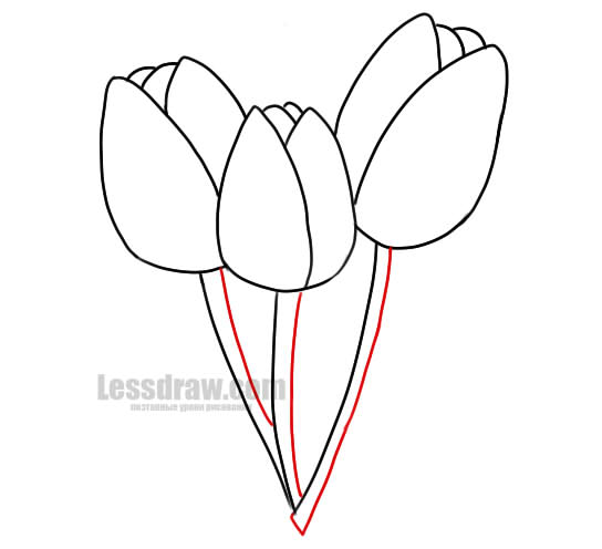 544x496 How To Draw A Tulip With A Pencil In Stages