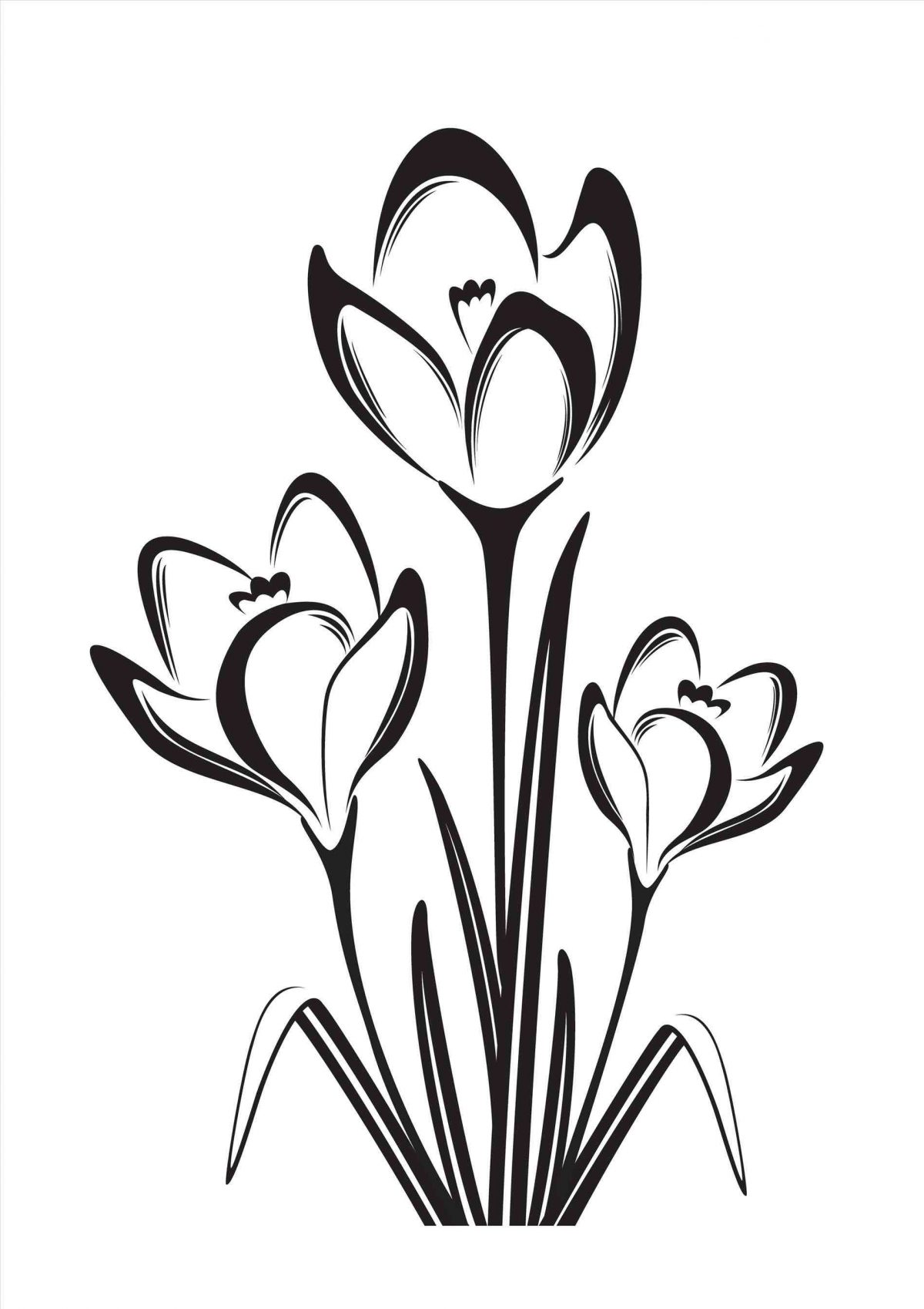 1200x1698 The Images Collection Of Drawing Ideas Of S Tulips Branches Pencil