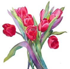 236x233 Best Tulip Drawing Images Beautiful Flowers, Pretty Flowers