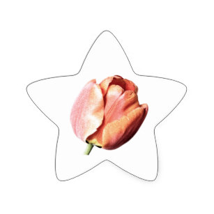 307x307 Tulips Drawing Stickers Zazzle Ca