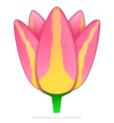 465x502 Tulip Pictures To Draw Hoteles