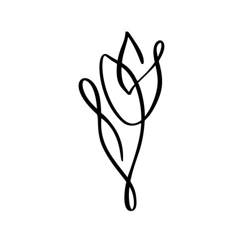 490x490 Tulip Flower Logo Continuous Line Hand Drawing Calligraphic