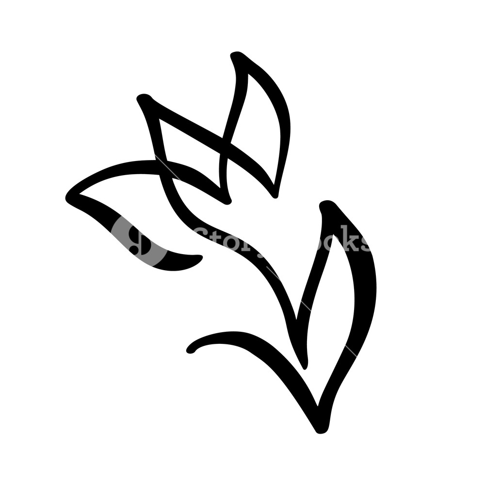 1000x1000 Tulip Flower Continuous Line Hand Drawing Calligraphic Vector