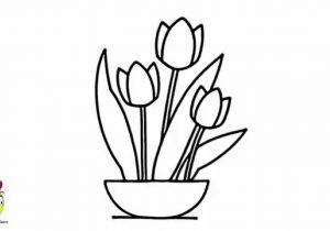 300x210 Simple Tulip Drawing Tulip Outline Drawing At Getdrawings Free