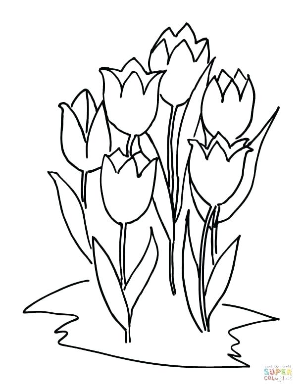 612x792 Six Tulips Tulip Coloring