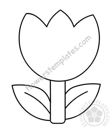 380x450 Tulip Flowers Templates