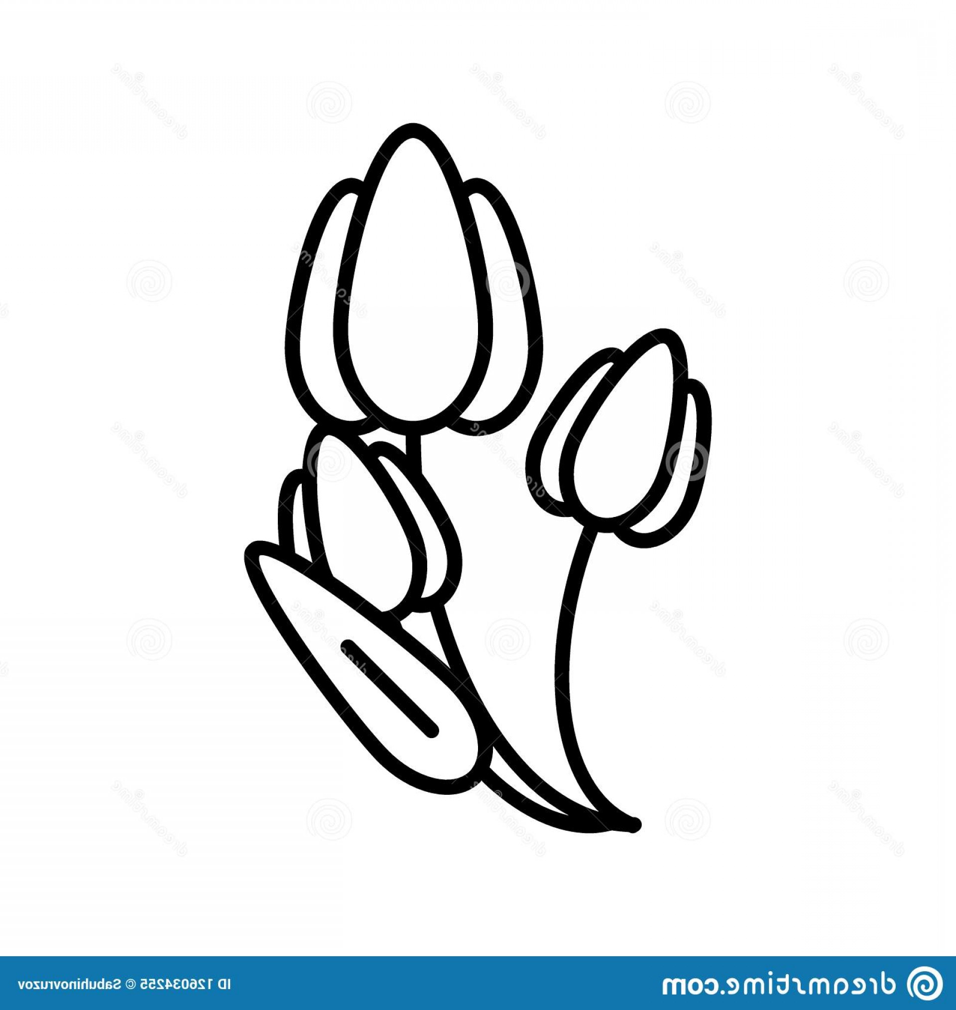 1920x2028 Tulip Line Icon Flowers Vector Illustration Isolated White Three