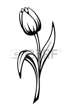 300x450 Tulip Outline Cliparts Free Download Clip Art