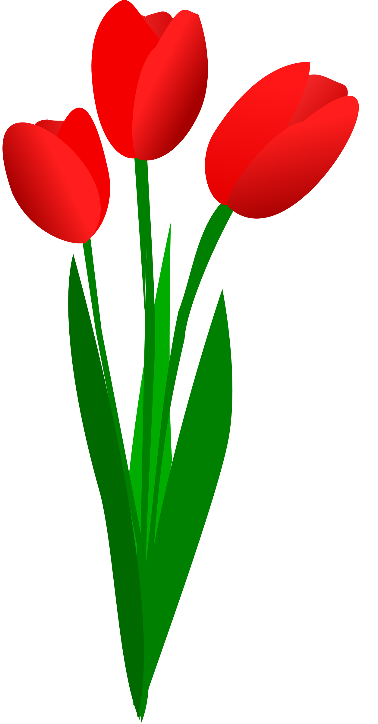 1254x2400 Drawing Tulip Red Huge Freebie! Download For Powerpoint