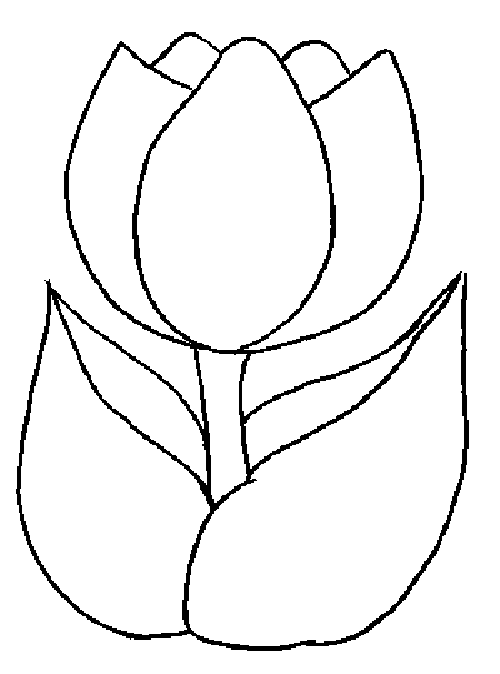 500x674 Tulip Template Printable Coloring Pages For Kids Craft Time