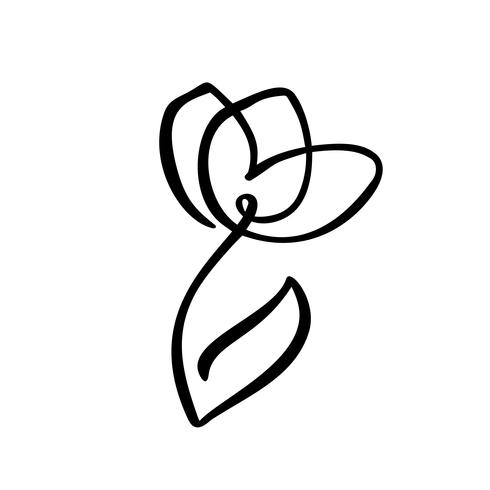 490x490 Tulip Flower Logo Continuous Line Hand Drawing Calligraphic