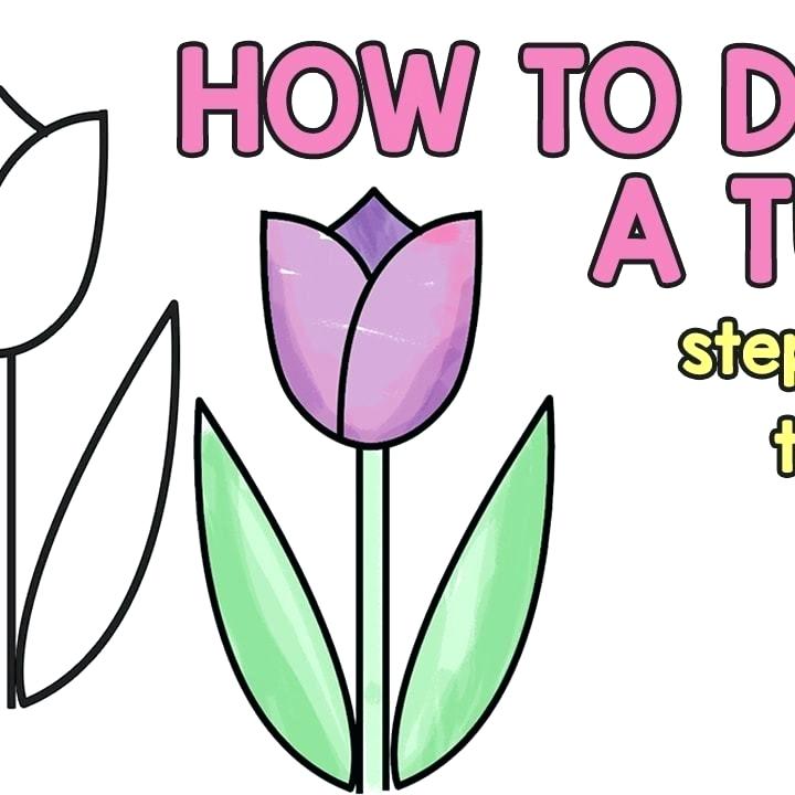 720x720 Easy Tulip Drawing
