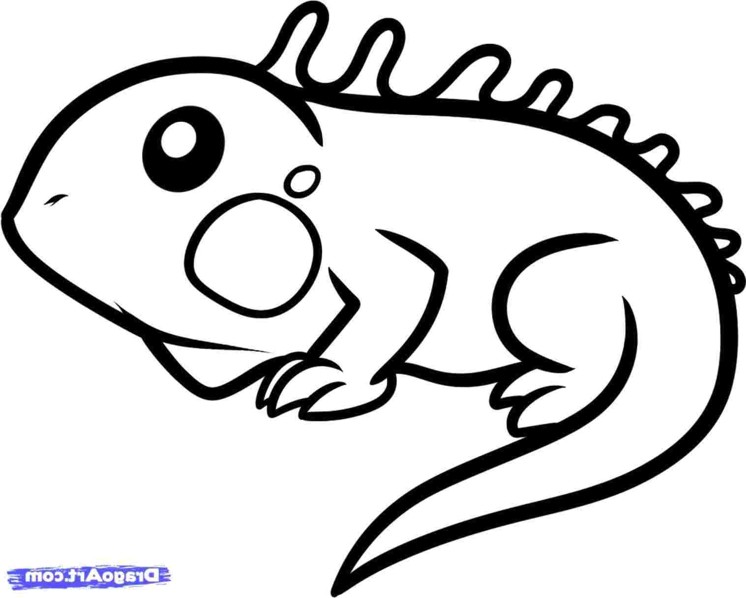 1517x1217 to draw of caron caronkucorhcaronkuco dog ings tumblr gallery