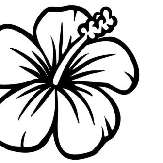 336x336 Cute Drawings Of Food Flower Tumblr Anatomy Step Pastel Art Roses