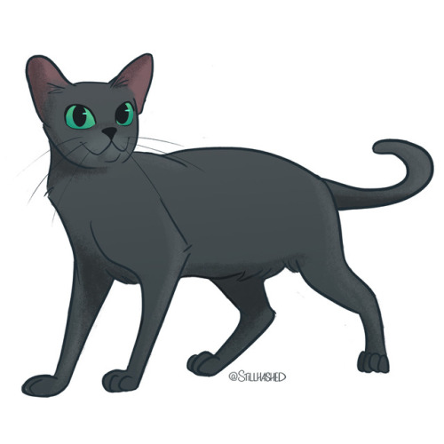 Tumblr Cat Drawing