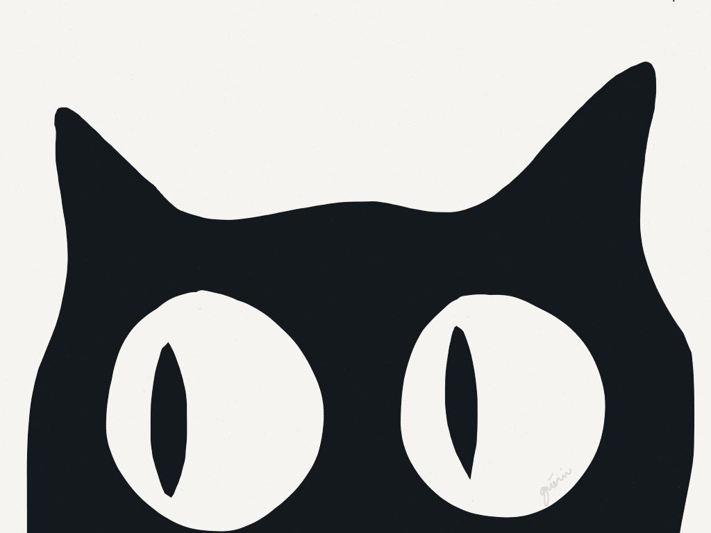 1024x768 Tumblr Hipster Cat Wallpapers