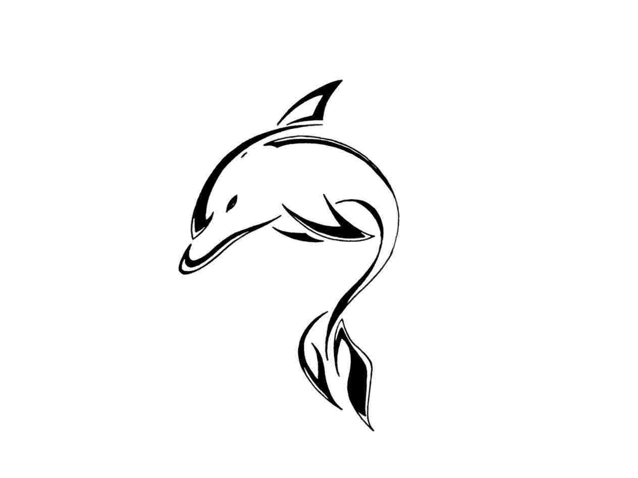 1264x948 Cute Dolphin Drawing Tumblr