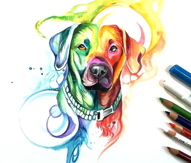 750x640 Rainbow Drawing Rainbow Dog Color Drawing