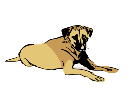 500x375 Streetdogmillionaires Tumblr