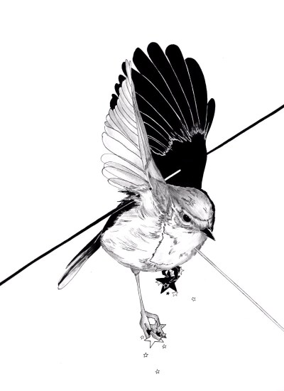400x550 Huge Collection Of 'bird Drawing Tumblr' Download More Than