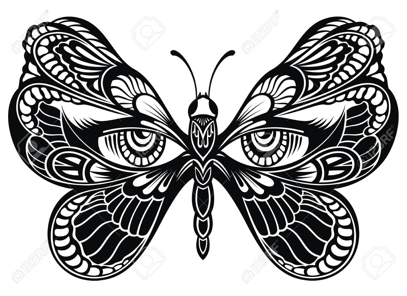 1300x947 Butterfly Drawing Step