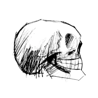 400x400 Skull Sketch Tumblr