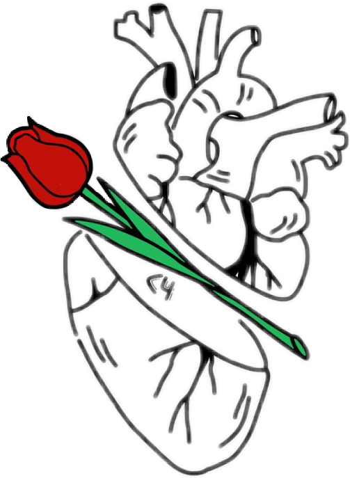 503x687 Sunflower Drawing Tumblr