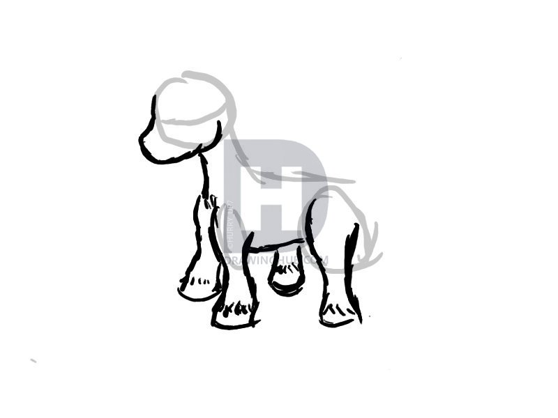 800x600 How To Draw A Unicorn, Step