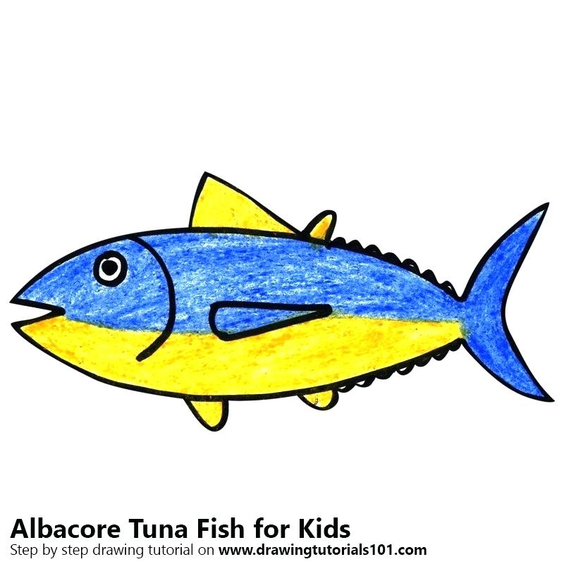 800x800 Drawing Of Fish For Kids Step