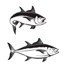 219x230 Image Result For Tuna Fish Drawing Chicken, Pig, Cow, Fish
