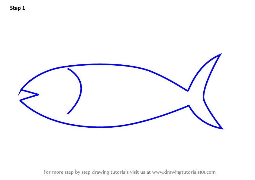 844x598 Learn How To Draw An Albcore Tuna Fish For Kids