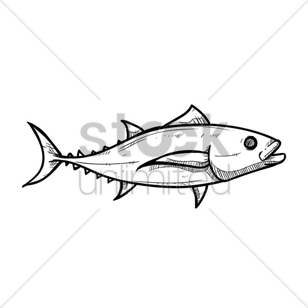 600x600 Tuna Fish Vector Image