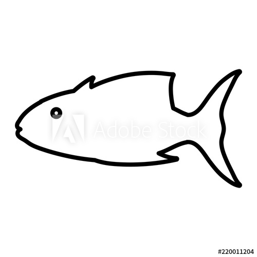 500x500 Line Tropical Tuna Fish Nature Animal