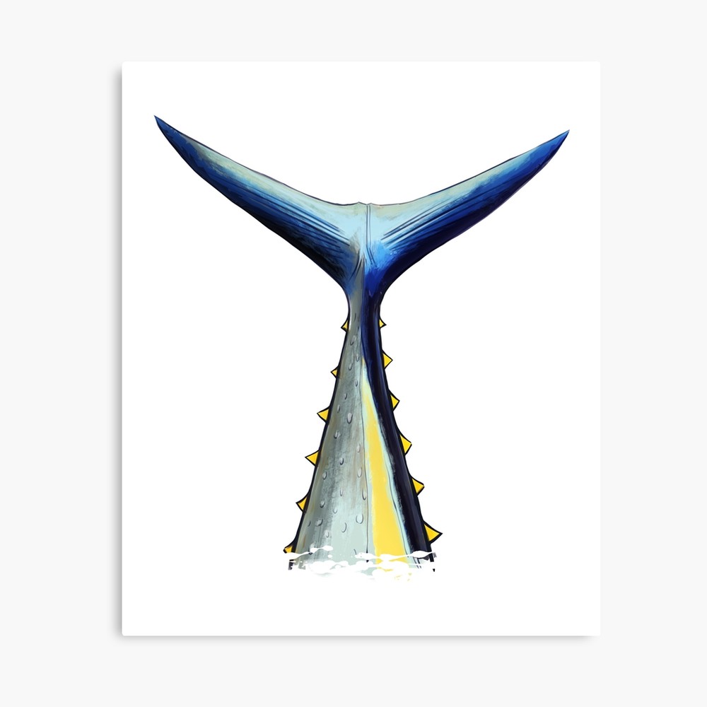 1000x1000 bluefin tuna tuna tail canvas print