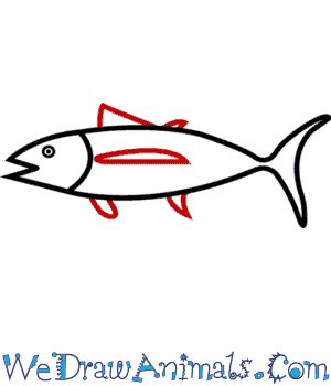 300x350 How To Draw An Albacore Tuna