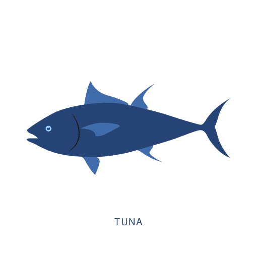 512x512 Tuna Fish Fishing Animal