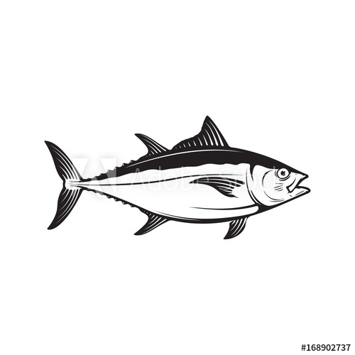 500x500 Tuna Fish Illustration Isolated On White Background Design