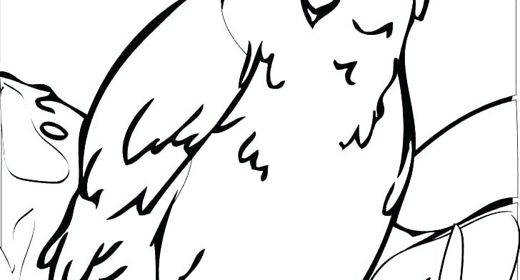 728x393 Coloring Pages Printable For Adults Tundra Animals Arctic Polar