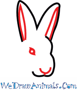 300x350 How To Draw An Arctic Hare