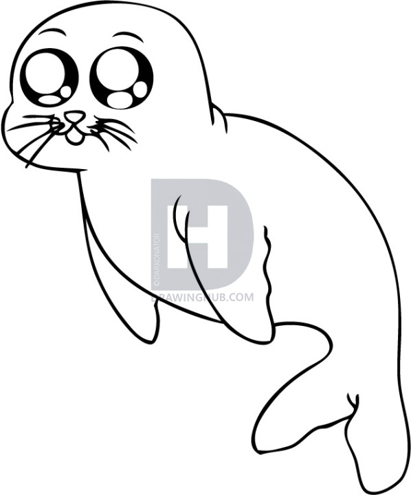 598x720 Seal Drawing Tundra Seal For Free Download
